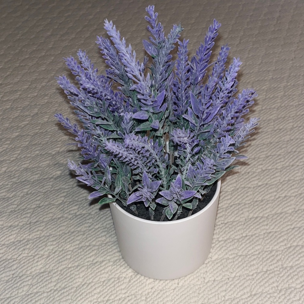 Threshold Purple Faux Lavender in White Pot